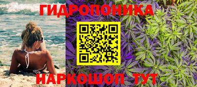 гидра Бузулук