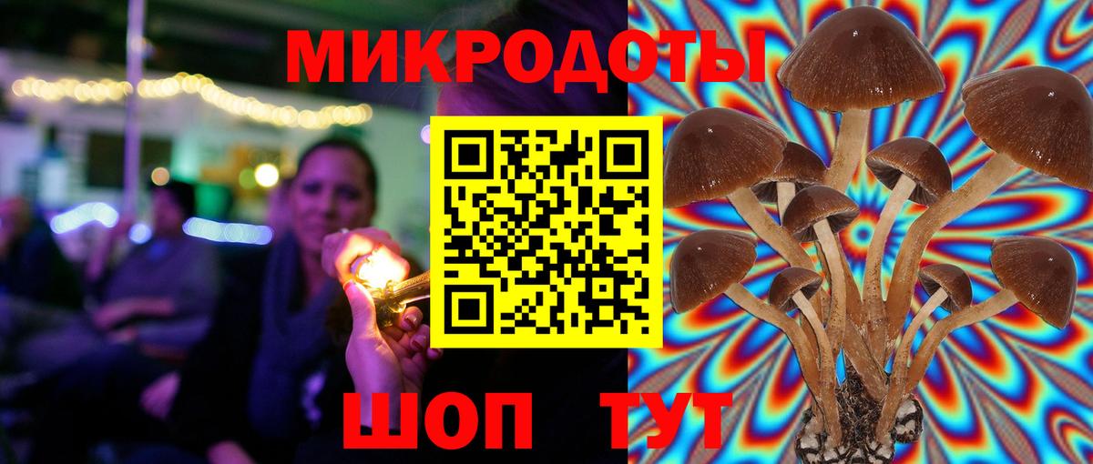 Псилоцибиновые грибы Magic Shrooms Тобольск